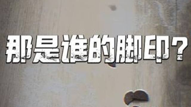 晶核“怪”谈丨拿走资料、偷吃零食、还有巨大脚印都是谁做的？ #晶核coa #上晶核即刻暴打 #晶核“