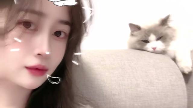 公主与猫的故事