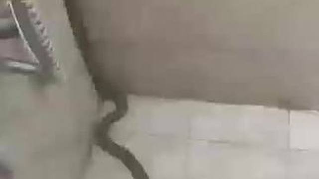 这澡没法洗了，太吓人