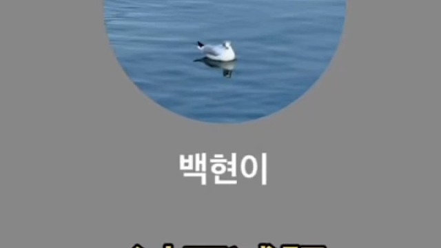 边伯贤努力挣钱吃菜叶子