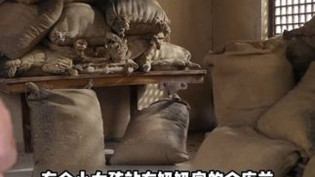 一口气看完哎呀如意满堂后续大结局完整版！ #如意满堂  #火爆短剧来袭好看又上头的短剧  #因为一个