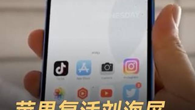 苹果复活刘海屏，iPhone SE4将搭载 #苹果  #iPhoneSE4  #刘海屏  #LCD 