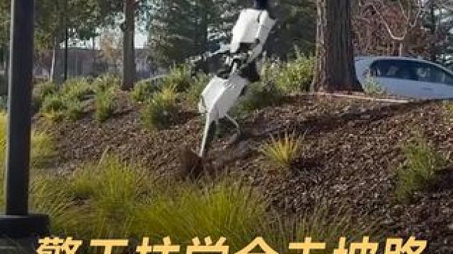 擎天柱学会走坡路，脚下一滑太像人了 #擎天柱  #机器人  #人工智能  #Optimus  #特斯