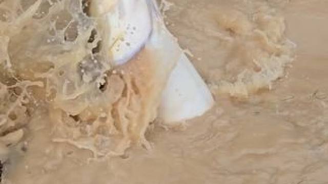 #这鱼哪个钓友看了不羡慕 #12月的鱼应该怎么钓 #每个钓鱼人都有个百斤