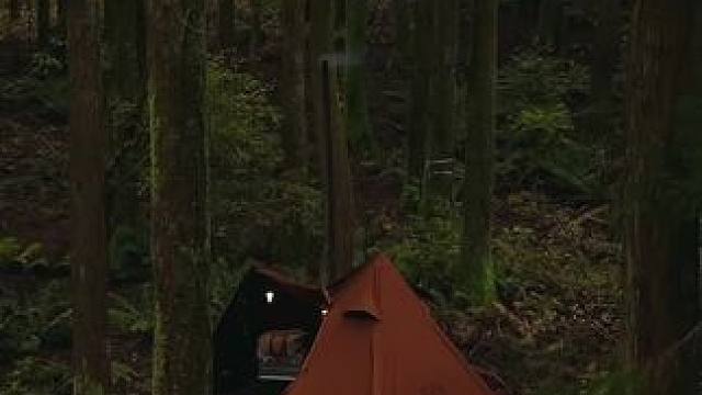 林中露营 #露营报告