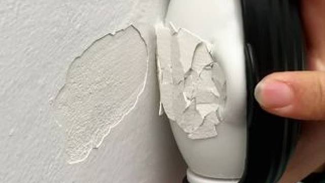 水洗多用途强力粘毛器 神奇的粘毛器!不仅能轻松清理头发和猫猫狗狗掉落的毛发，水一冲就干净能继续用了 