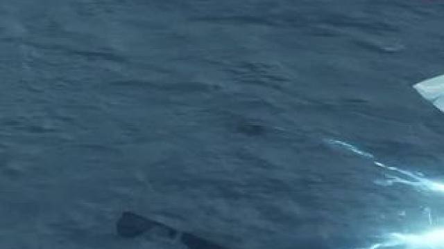 你是否会猛然想起被你遗忘的那个她呢 #战双帕弥什