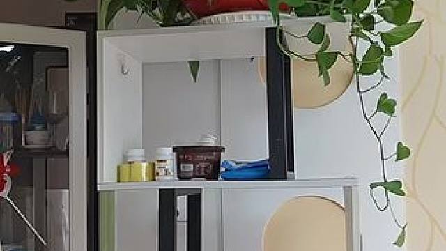 愁舍奴家了 #逗你开心 #我在闹你在笑