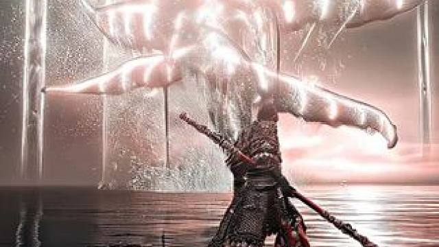 比那虎头虎脑的虎先锋还慢！#艾尔登法环 #黑神话悟空