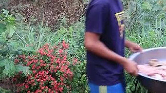 东南亚乡村美食 #农村美食#乡村美食