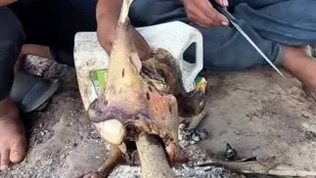 户外野炊烤鸭 #农村美食#户外野炊#户外美食