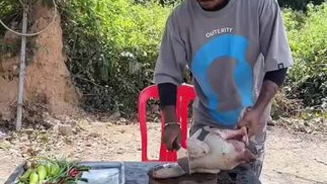 哈哈矮子不吃 #看一遍笑一遍 #农村美食#乡村美食#我的乡村生活 #东南亚矮子