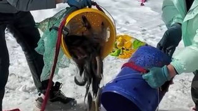 #户外捕鱼 #好多鱼