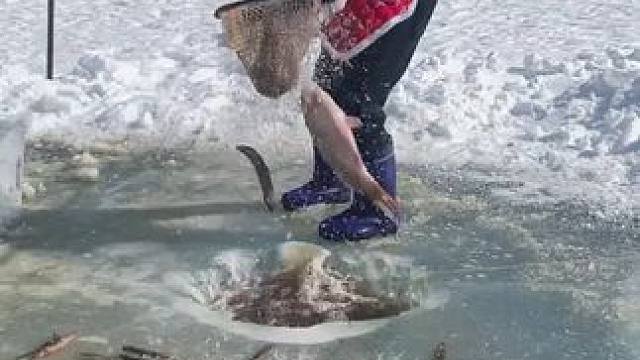 #户外捕鱼 #好多鱼