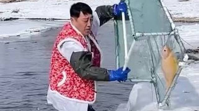 #户外捕鱼 #好大一条鱼