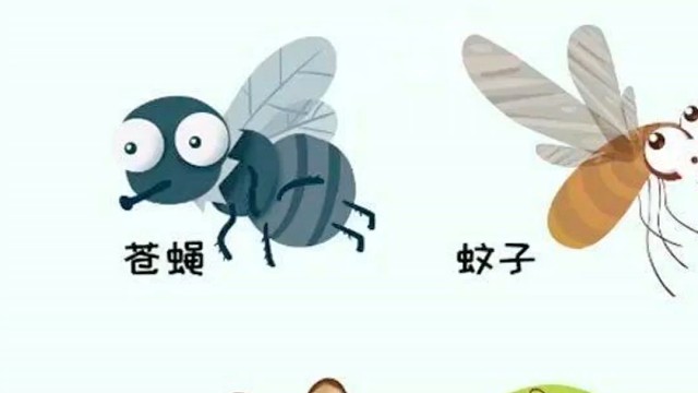 你害怕蟑螂吗？