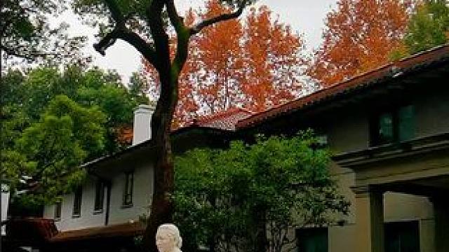 我发布了一个新视频，快来围观吧！