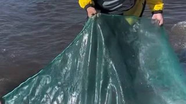 #户外捕鱼 #好多鱼