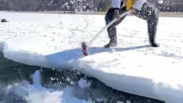 #玩雪的欢乐时光