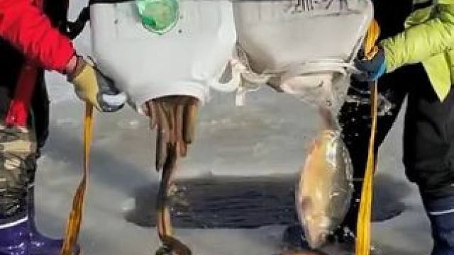 #户外捕鱼 #好多鱼