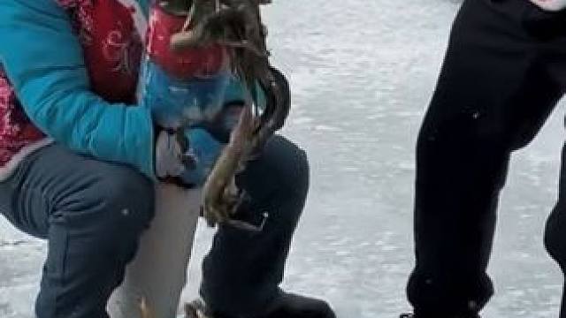 #户外捕鱼 #好多鱼