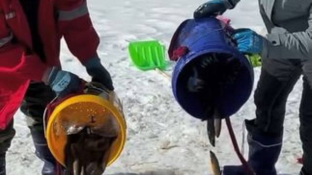 #户外捕鱼 #好多鱼