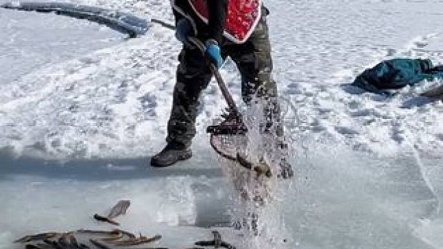 #户外捕鱼 #好多鱼