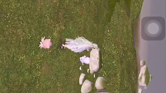 无限暖暖金蔷薇套装