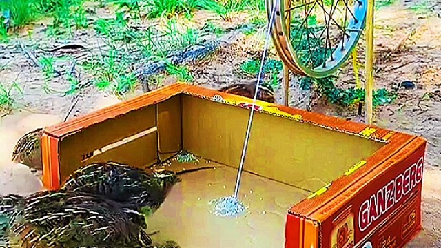 人为财死，鸟为食亡！