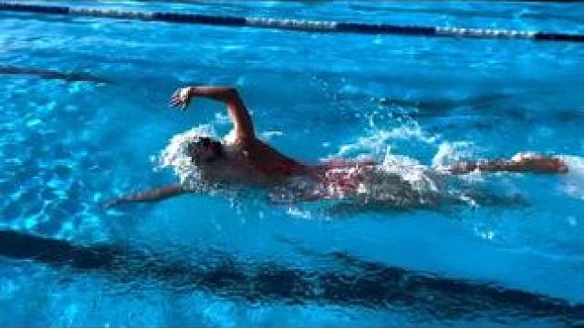 四种自由泳风格，你更喜欢哪一种？ 你的游泳知识有多好？？ 
观看视频，看看你是否能选择游泳姿势！ 
