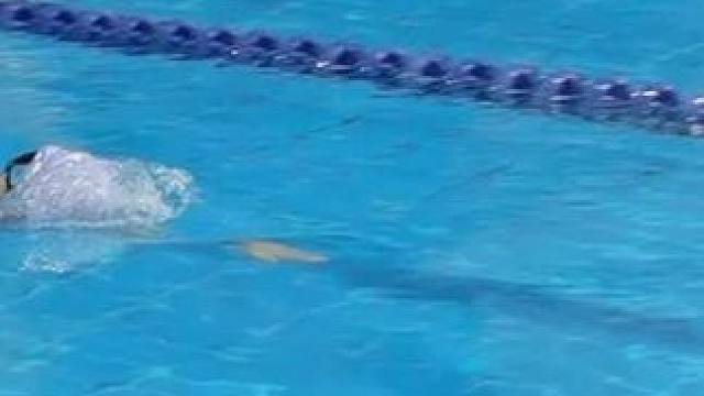 每一次翻越浪花，都是克服自我，征服恐惧的胜利。爱生活爱运动 ，因为热爱所以坚持 ，努力成为更好的自己