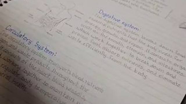 朋友：差生文具多~~ #差生文具多