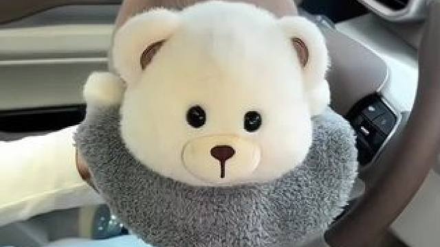 #美观实用 很哇塞小熊的车载纸巾盒太好看了，里面还含有活性炭可以净化车内甲醛#汽车好物 #纸巾盒 #