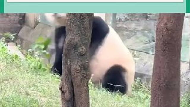 莽妞妞能想起还有个孩子不容易