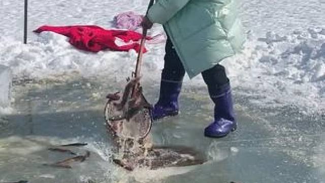 #户外捕鱼 #好多鱼