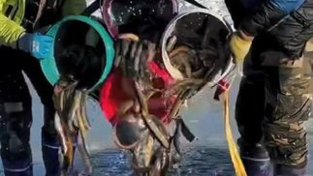 #户外捕鱼 #好多鱼