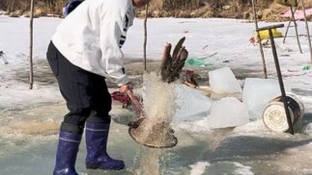 #户外捕鱼 #好多鱼