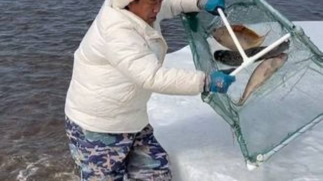 #户外捕鱼 #好多鱼