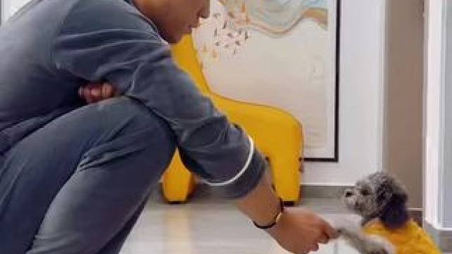 对视的那一刻，你猜我的内心在想什么……