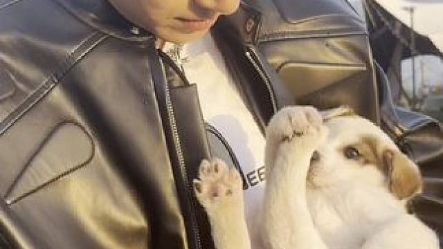 恋爱互动剧《无法抗拒的他们》 #无法抗拒的他们 我想跟你一起养一只小狗，一起去海滩冲浪，可是小狗这么