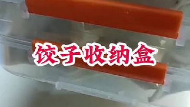 #饺子收纳盒 #冻饺子盒家用多层 #食品级饺子保鲜盒 #厨房好物 #方便又实用