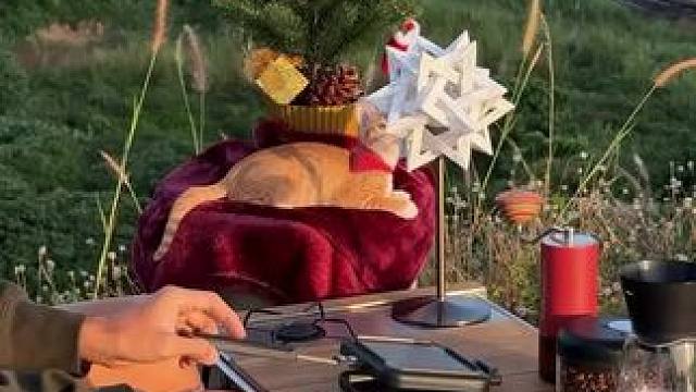 户外小憩 #让生活慢下来 #露营报告