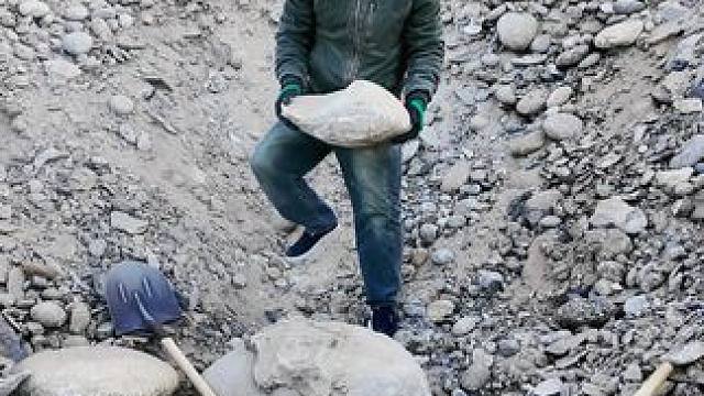 #和田玉籽料 #挖玉第一现场 #挖玉人 #籽料原石 #户外