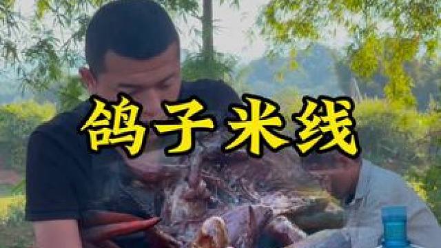 鸽子米线#新农人计划2024 #回村后的我 #农村生活