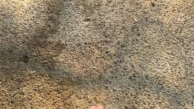 楼梯滚瓶子爆破解压时刻