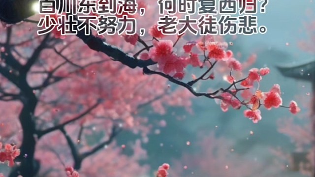 《长歌行》中国古典诗歌 #诗词  #弘扬中国诗词文化  #诗歌  #中华好诗词分享