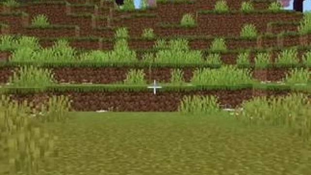 #我的世界 #Minecraft