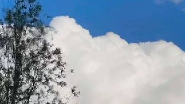 “夏天与你的故事 云朵和风都会记得”#治愈系风景