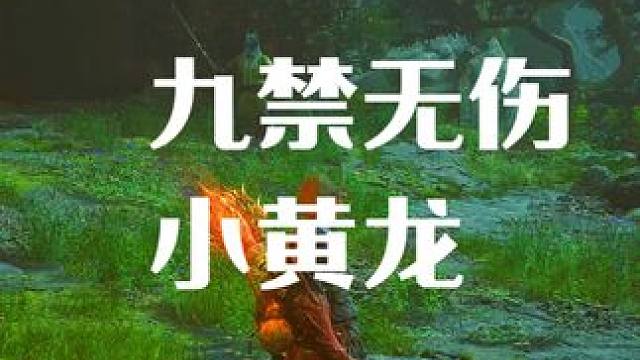 我太奶复键系列 小黄龙 #黑神话悟空 #黑神话悟空创作激励 #黑神话悟空Boss挑战技术流 #黑神话