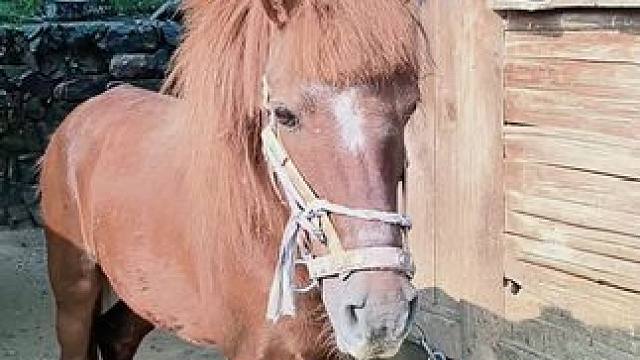 后来我才发现，为什么有那么多人喜欢看老家的视频，不是因为我作品有多优秀，而是因为外在的人出门在外不容